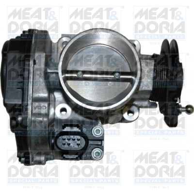 Throttle Body